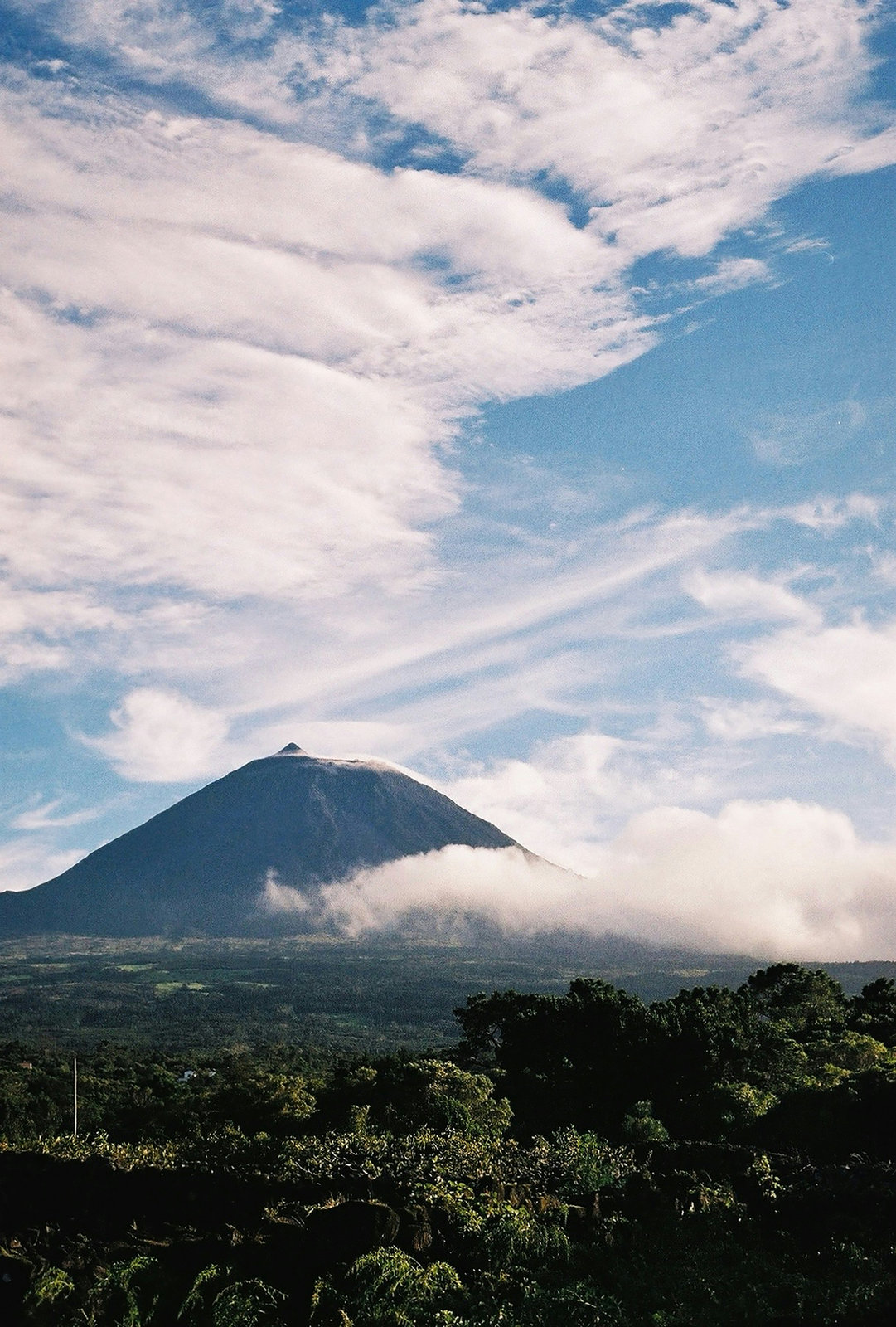 Randonnée et nature préservée sur l'île de Pico aux Açores